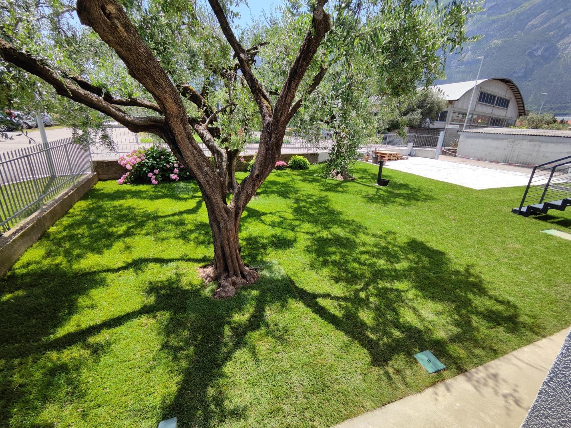 Apartamento Oasi Degli Ulivi Riva del Garda Exterior foto