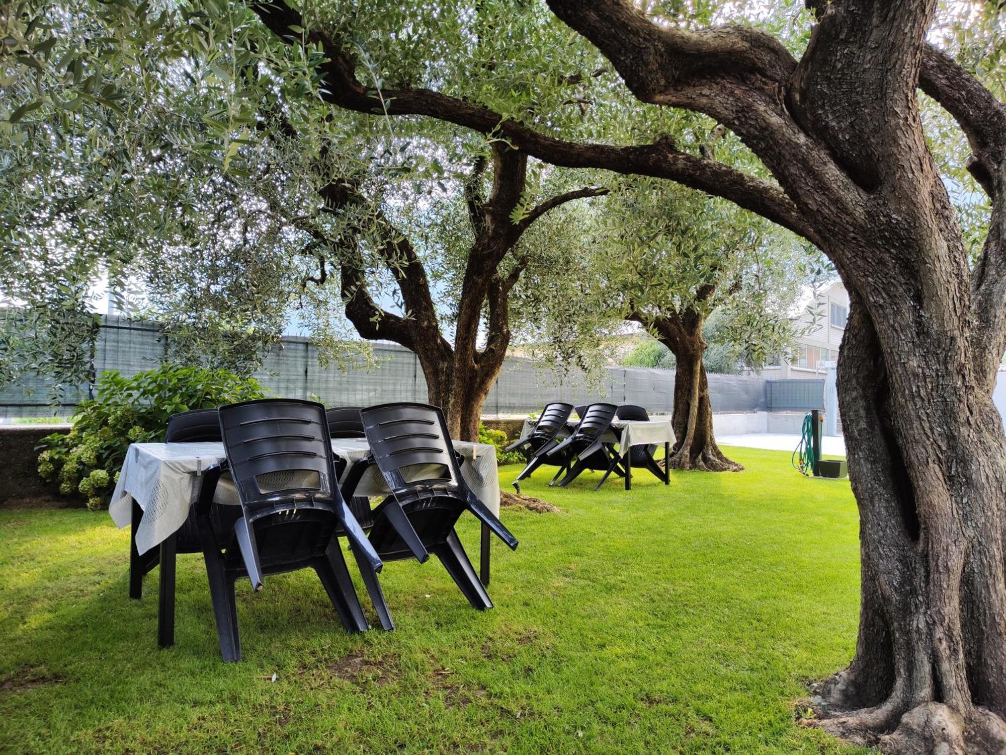 Apartamento Oasi Degli Ulivi Riva del Garda Exterior foto